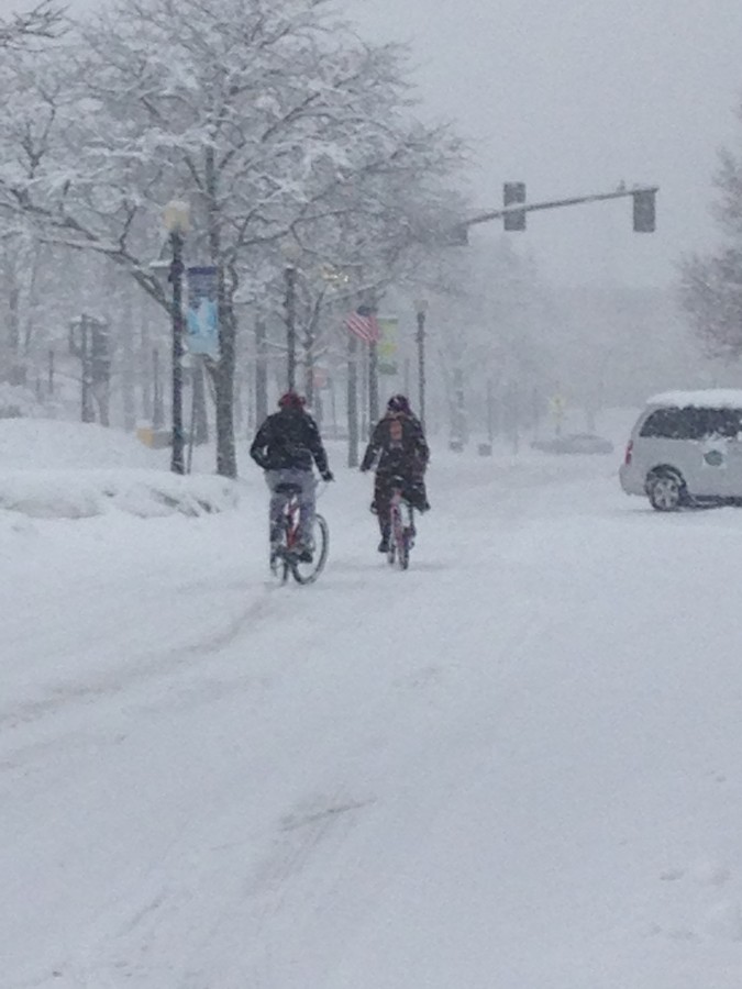 Bikers+try+to+peddle+through+the+heavy+snow+in+downtown+Downers+Grove.%0APhoto+submitted+by+Maci+Schaub+