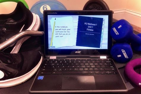 An array of common class materials for remote physical education classes