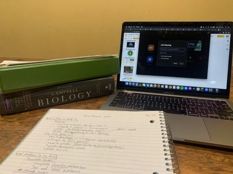 LEARNING FROM HOME: a staged photo mimicking a typical home set-up for a science course.