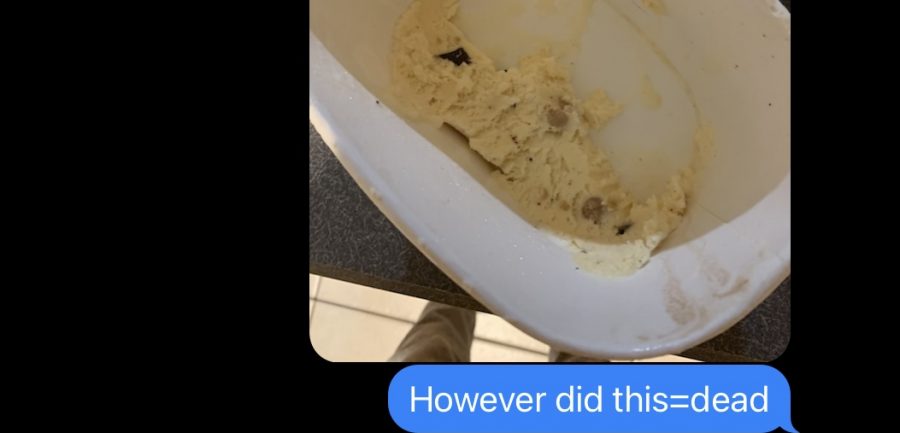 BROTHERLY LOVE: Blinded by rage, spell check got the best of me here. Regardless, everyone has experienced this feeling of helplessness: opening the ice cream and seeing this sad excuse for a dessert. It has happened far too many times in the last two months to me. For legal reasons, this text was a joke. 