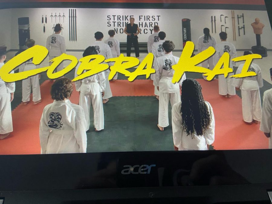 Review: Cobra Kai