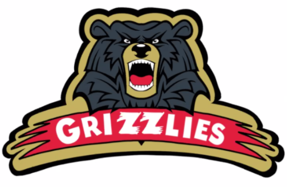 Meet the Burlington West Grizzlies: A team for DGN female hockey players