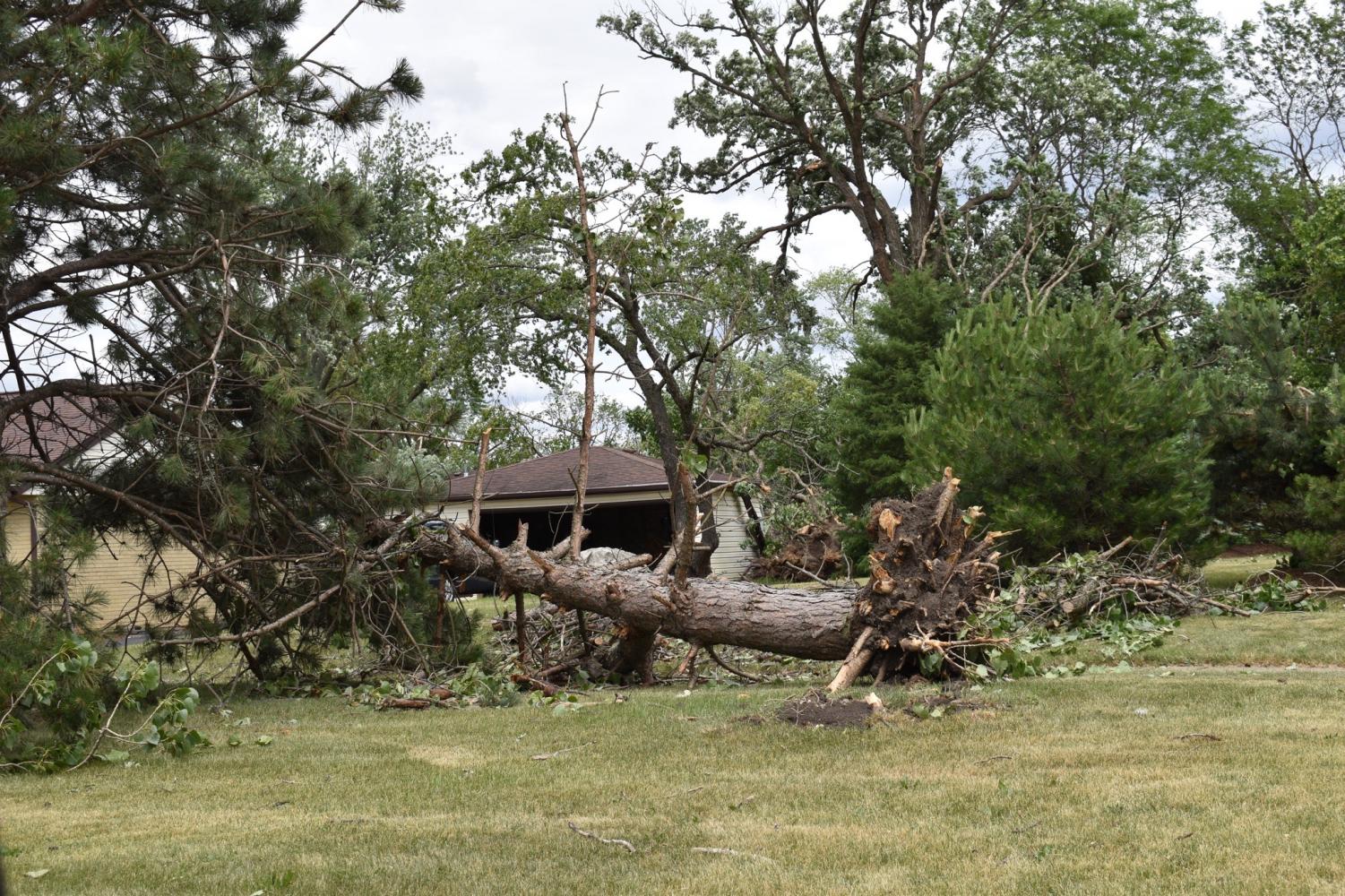 Damage