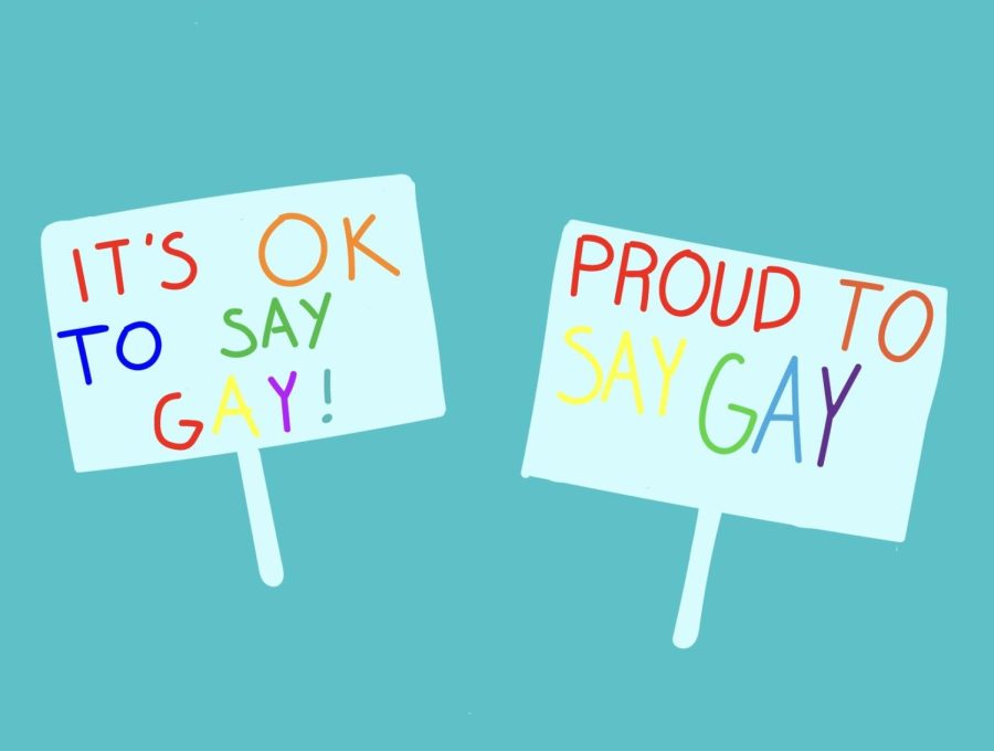 Florida Dont Say Gay bill promotes homophobia in schools