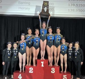 Girls gymnastics brings home state title