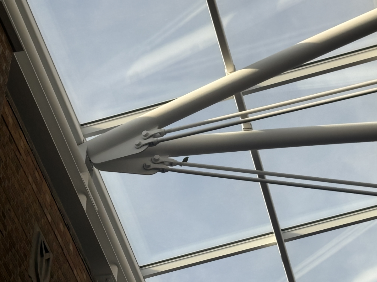 Roaming Above: The bird claims its spot on the ceiling of the Commons after school.
Photo by Teia de Mesa
